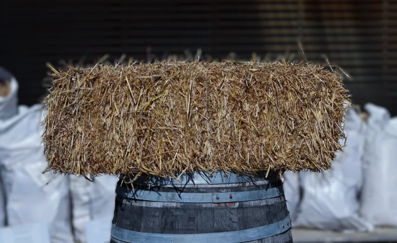 Barley Straw Small Bale