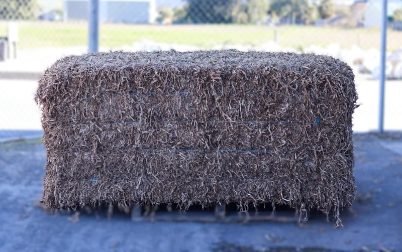 Pea Straw Large Bale
